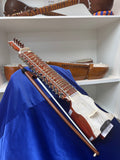 Dilruba - Indian Classical Instrument