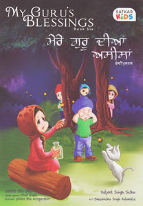 My Guru’s Blessings (Book Six) by: Daljeet Singh Sidhu