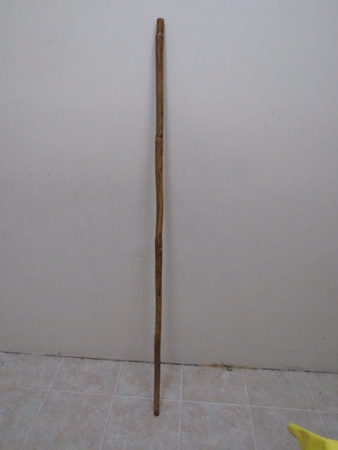 Dhang Gatka large thick stick 60 inches